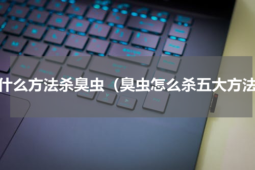 用什么方法杀臭虫（臭虫怎么杀五大方法）