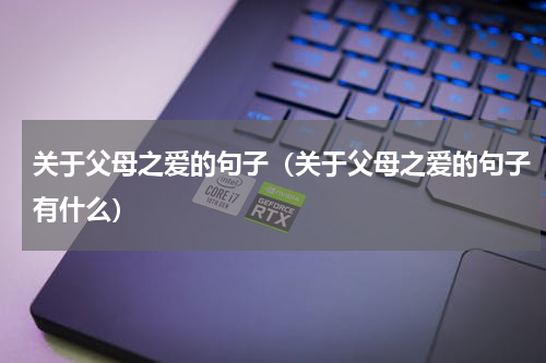 关于父母之爱的句子（关于父母之爱的句子有什么）