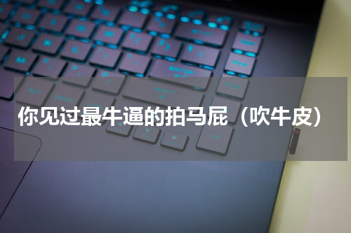 你见过最牛逼的拍马屁（吹牛皮）
