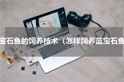 蓝宝石鱼的饲养技术（怎样饲养蓝宝石鱼）