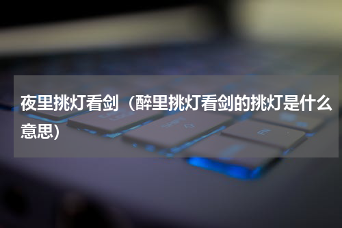 夜里挑灯看剑（醉里挑灯看剑的挑灯是什么意思）