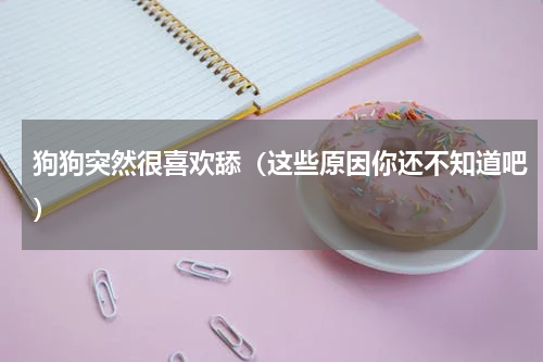 狗狗突然很喜欢舔（这些原因你还不知道吧）