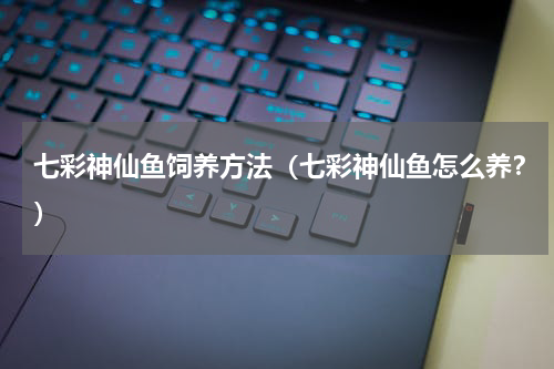 七彩神仙鱼饲养方法（七彩神仙鱼怎么养？）