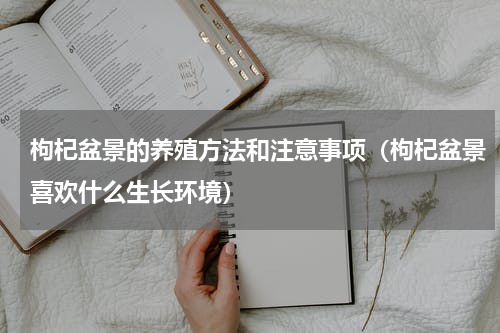 枸杞盆景的养殖方法和注意事项（枸杞盆景喜欢什么生长环境）