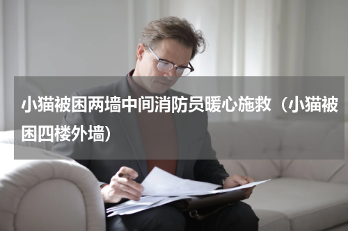 小猫被困两墙中间消防员暖心施救（小猫被困四楼外墙）
