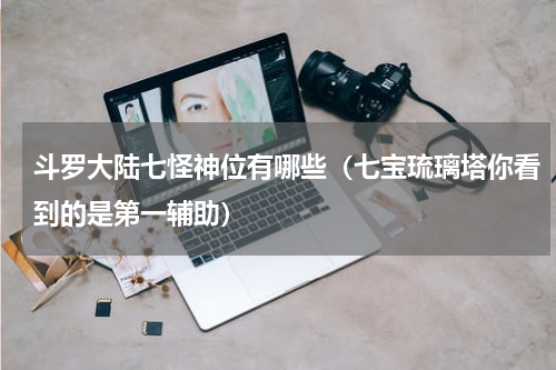 斗罗大陆七怪神位有哪些（七宝琉璃塔你看到的是第一辅助）