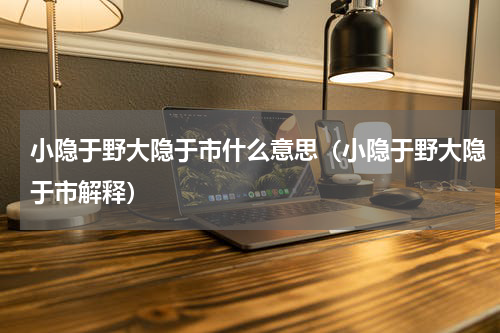 小隐于野大隐于市什么意思（小隐于野大隐于市解释）