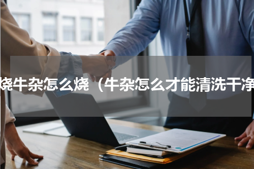 红烧牛杂怎么烧（牛杂怎么才能清洗干净）