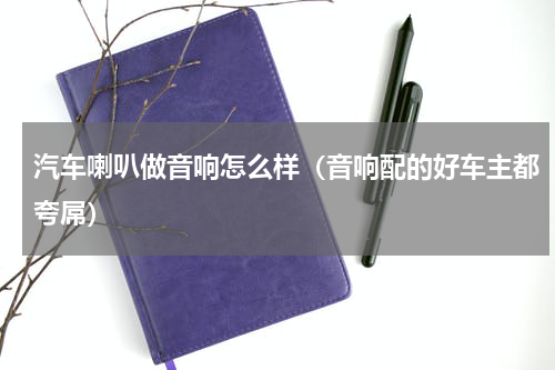汽车喇叭做音响怎么样（音响配的好车主都夸屌）