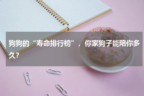 狗狗的“寿命排行榜”，你家狗子能陪你多久？