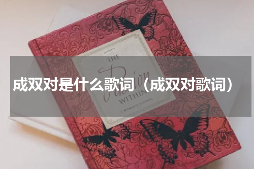 成双对是什么歌词（成双对歌词）