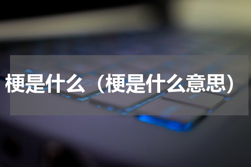 梗是什么（梗是什么意思）