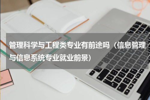 管理科学与工程类专业有前途吗（信息管理与信息系统专业就业前景）