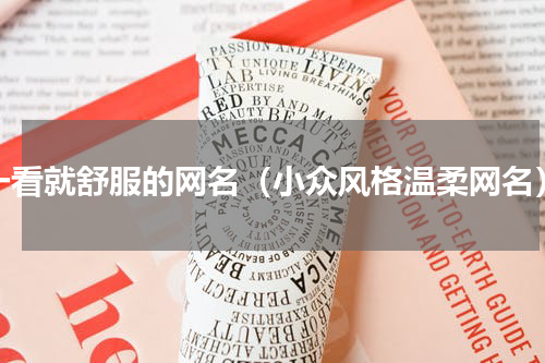 一看就舒服的网名（小众风格温柔网名）