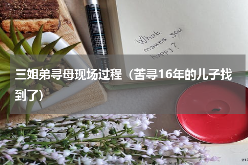 三姐弟寻母现场过程（苦寻16年的儿子找到了）