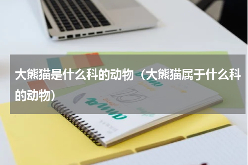 大熊猫是什么科的动物（大熊猫属于什么科的动物）