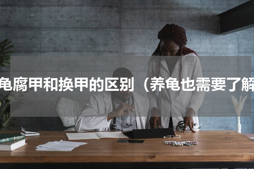 锦龟腐甲和换甲的区别（养龟也需要了解）