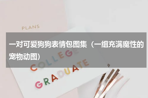 一对可爱狗狗表情包图集（一组充满魔性的宠物动图）