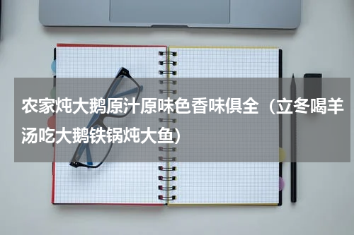 农家炖大鹅原汁原味色香味俱全（立冬喝羊汤吃大鹅铁锅炖大鱼）