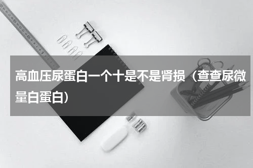 高血压尿蛋白一个十是不是肾损（查查尿微量白蛋白）