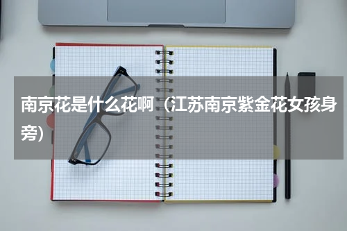 南京花是什么花啊（江苏南京紫金花女孩身旁）