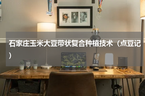 石家庄玉米大豆带状复合种植技术（点豆记）