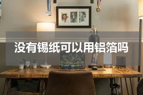 没有锡纸可以用铝箔吗