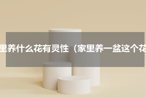 家里养什么花有灵性（家里养一盆这个花）