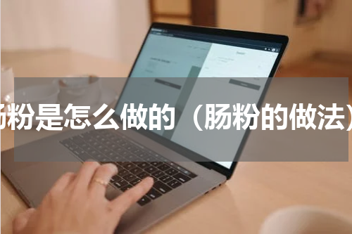 肠粉是怎么做的（肠粉的做法）