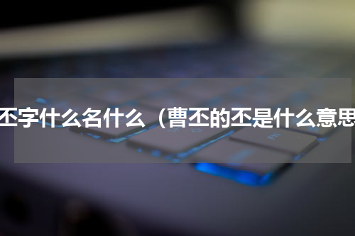 曹丕字什么名什么（曹丕的丕是什么意思）