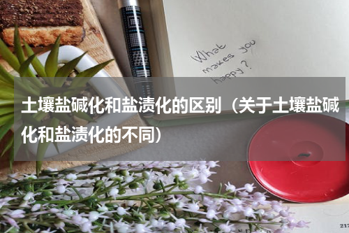 土壤盐碱化和盐渍化的区别（关于土壤盐碱化和盐渍化的不同）