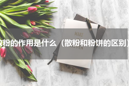 散粉的作用是什么（散粉和粉饼的区别）