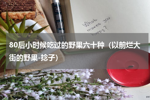 80后小时候吃过的野果六十种（以前烂大街的野果-捻子）