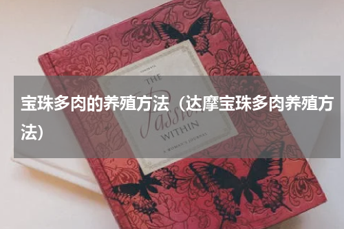 宝珠多肉的养殖方法（达摩宝珠多肉养殖方法）
