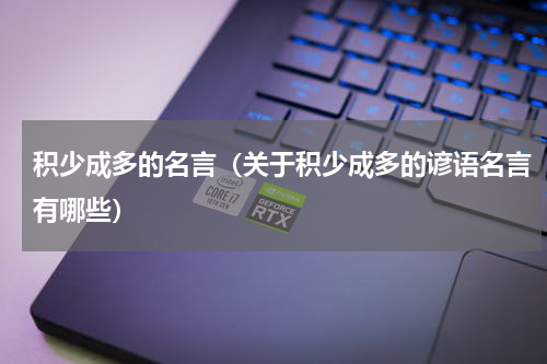 积少成多的名言（关于积少成多的谚语名言有哪些）