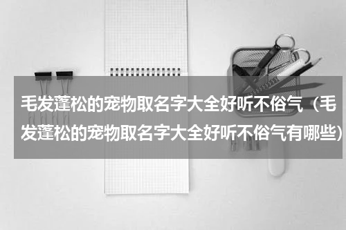 毛发蓬松的宠物取名字大全好听不俗气（毛发蓬松的宠物取名字大全好听不俗气有哪些）