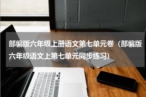 部编版六年级上册语文第七单元卷（部编版六年级语文上第七单元同步练习）