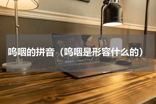呜咽的拼音（呜咽是形容什么的）