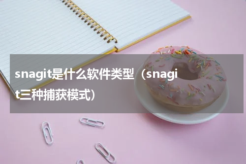 snagit是什么软件类型（snagit三种捕获模式）
