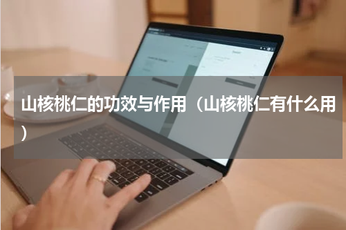 山核桃仁的功效与作用（山核桃仁有什么用）