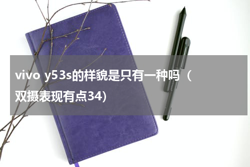 vivo y53s的样貌是只有一种吗（双摄表现有点34）