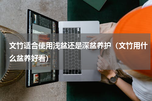 文竹适合使用浅盆还是深盆养护（文竹用什么盆养好看）