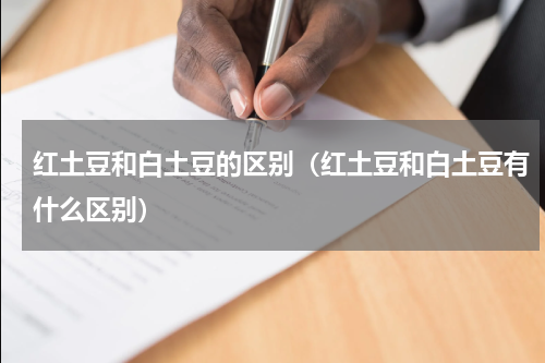 红土豆和白土豆的区别（红土豆和白土豆有什么区别）