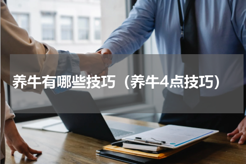 养牛有哪些技巧（养牛4点技巧）