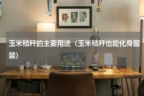 玉米秸秆的主要用途（玉米秸秆也能化身服装）