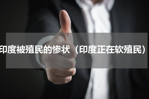 印度被殖民的惨状（印度正在软殖民）