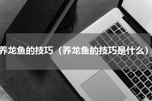 养龙鱼的技巧（养龙鱼的技巧是什么）