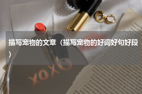 描写宠物的文章（描写宠物的好词好句好段）