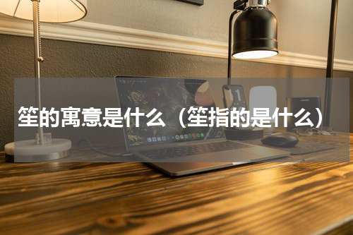 笙的寓意是什么（笙指的是什么）