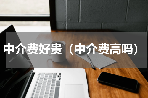 中介费好贵（中介费高吗）